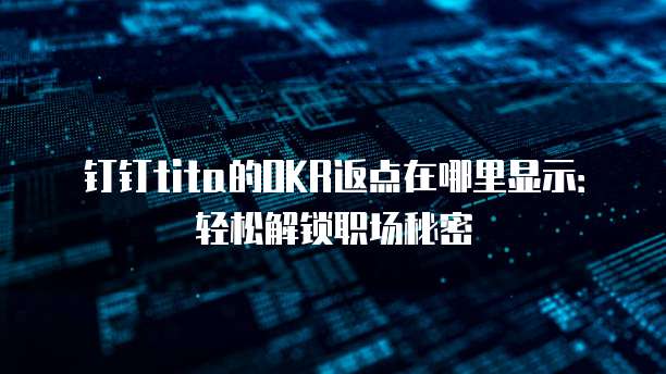 钉钉tita的OKR返点在哪里显示：轻松解锁职场秘密