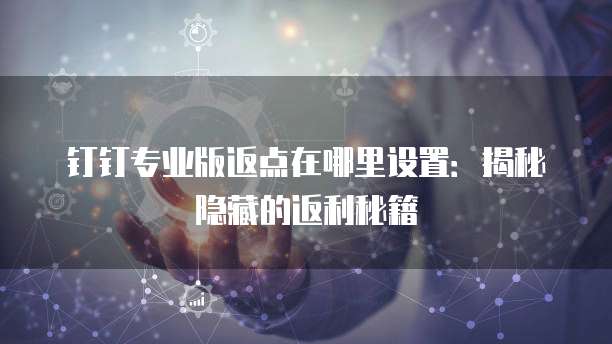 钉钉专业版返点在哪里设置：揭秘隐藏的返利秘籍