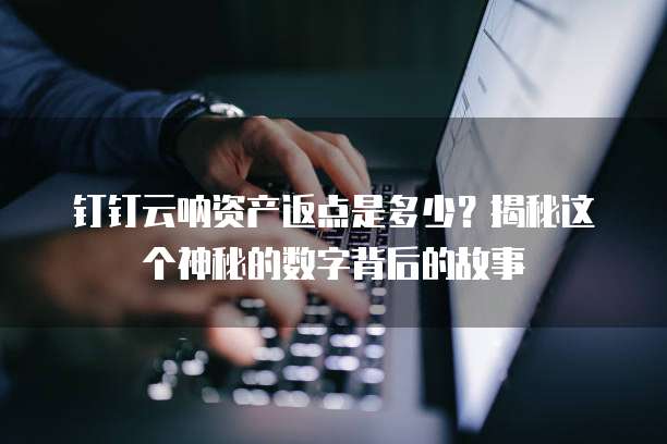 钉钉云呐资产返点是多少?揭秘这个神秘的数字背后的故事