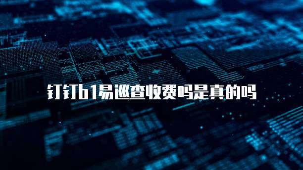 钉钉b1易巡查收费吗是真的吗