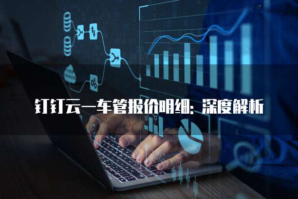 钉钉云一车管报价明细: 深度解析