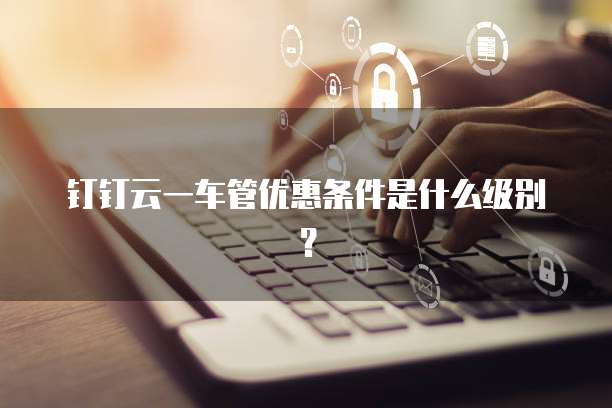 钉钉云一车管优惠条件是什么级别?