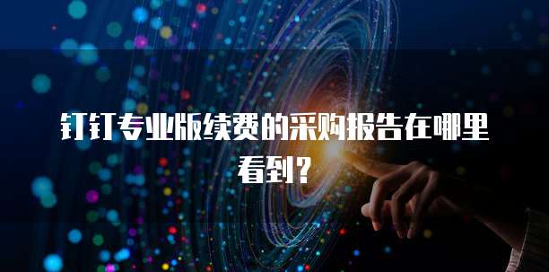 钉钉专业版续费的采购报告在哪里看到?