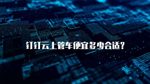 钉钉云上管车便宜多少合适?