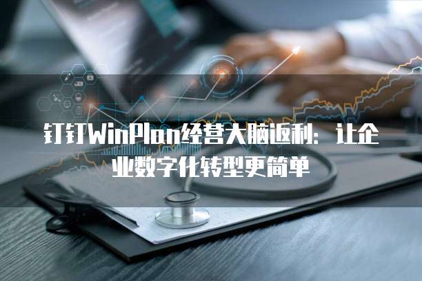 钉钉WinPlan经营大脑返利:让企业数字化转型更简单