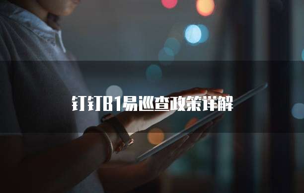 钉钉B1易巡查政策详解
