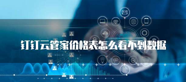 钉钉云管家价格表怎么看不到数据