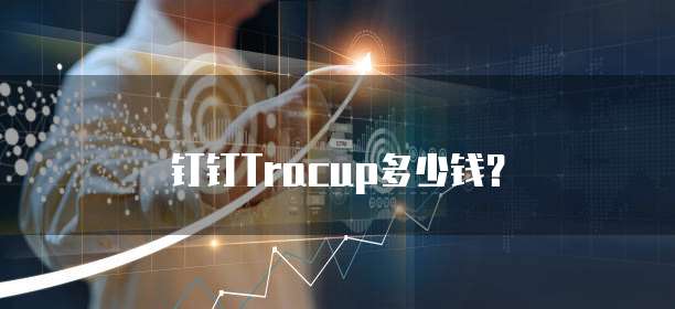 钉钉Tracup多少钱?