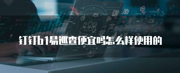钉钉b1易巡查便宜吗怎么样使用的