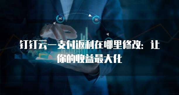 钉钉云一支付返利在哪里修改:让你的收益最大化