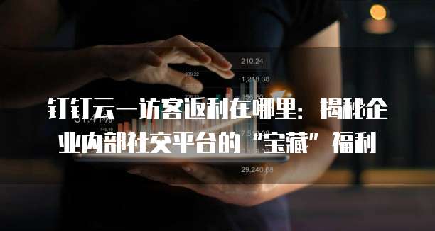 钉钉云一访客返利在哪里:揭秘企业内部社交平台的“宝藏”福利