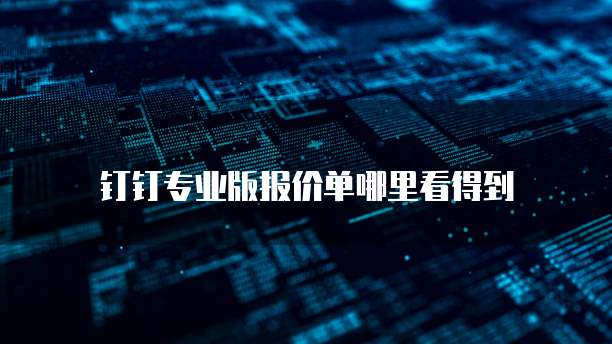 钉钉专业版报价单哪里看得到