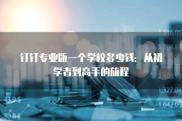 钉钉专业版一个学校多少钱:从初学者到高手的旅程