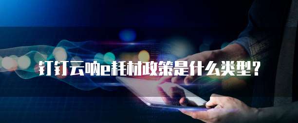 钉钉云呐e耗材政策是什么类型?