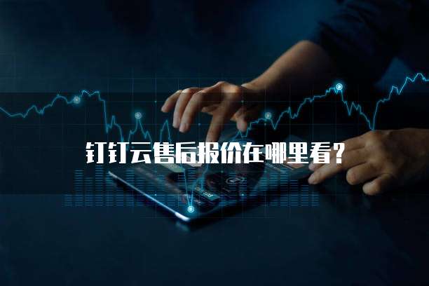 钉钉云售后报价在哪里看？