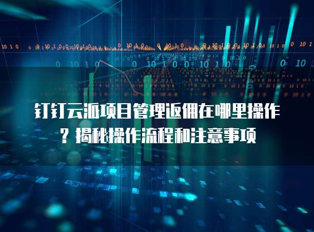 钉钉云派项目管理返佣在哪里操作？揭秘操作流程和注意事项