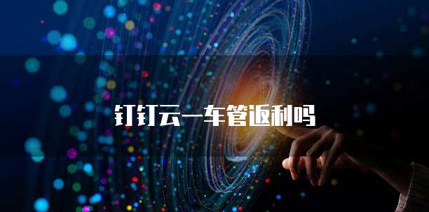 钉钉云一车管返利吗