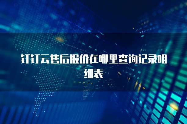 钉钉云售后报价在哪里查询记录明细表