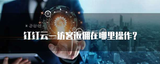 钉钉云一访客返佣在哪里操作？