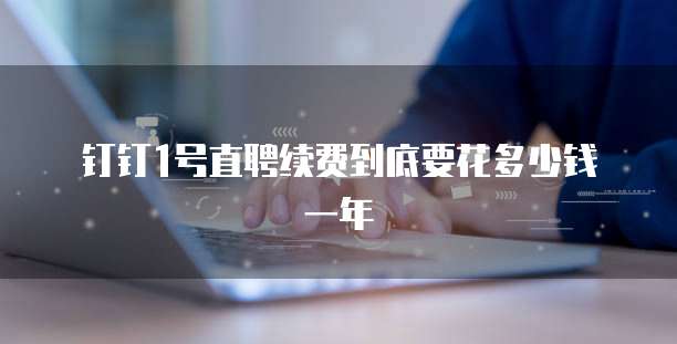 钉钉1号直聘续费到底要花多少钱一年