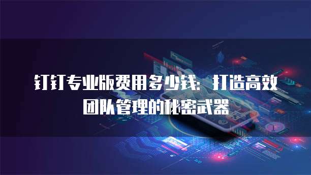 钉钉专业版费用多少钱:打造高效团队管理的秘密武器