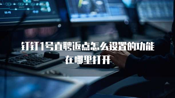 钉钉1号直聘返点怎么设置的功能在哪里打开