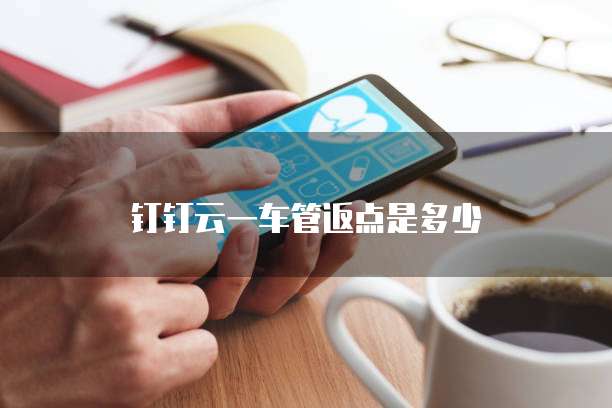 钉钉云一车管返点是多少