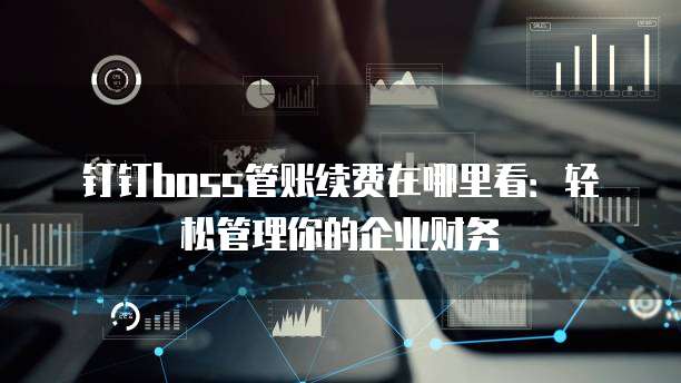 钉钉boss管账续费在哪里看:轻松管理你的企业财务