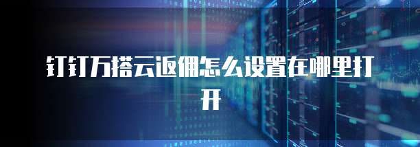 钉钉万搭云返佣怎么设置在哪里打开