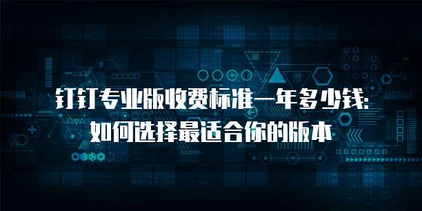 钉钉专业版收费标准一年多少钱:如何选择最适合你的版本