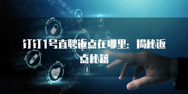 钉钉1号直聘返点在哪里：揭秘返点秘籍