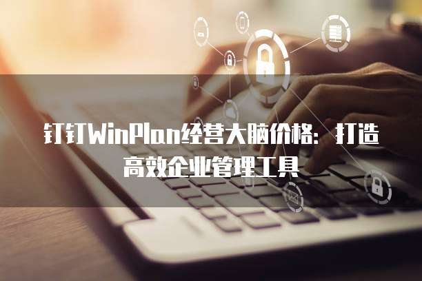 钉钉WinPlan经营大脑价格:打造高效企业管理工具