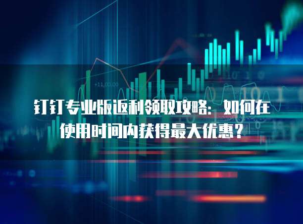 钉钉专业版返利领取攻略:如何在使用时间内获得最大优惠?
