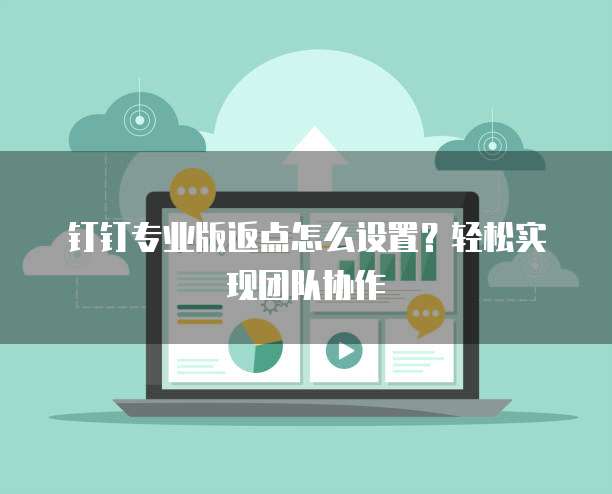 钉钉专业版返点怎么设置?轻松实现团队协作