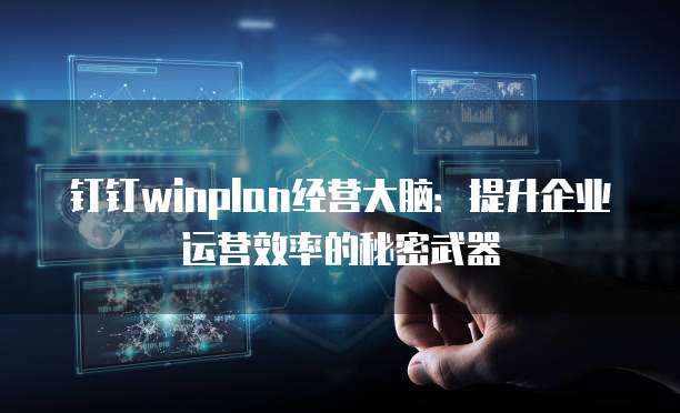 钉钉winplan经营大脑:提升企业运营效率的秘密武器