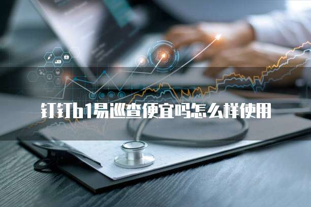 钉钉b1易巡查便宜吗怎么样使用