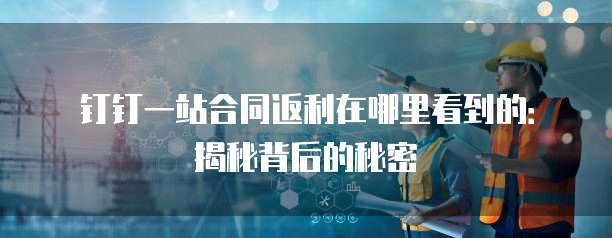 钉钉一站合同返利在哪里看到的：揭秘背后的秘密