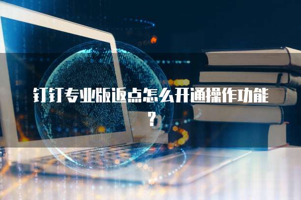 钉钉专业版返点怎么开通操作功能?