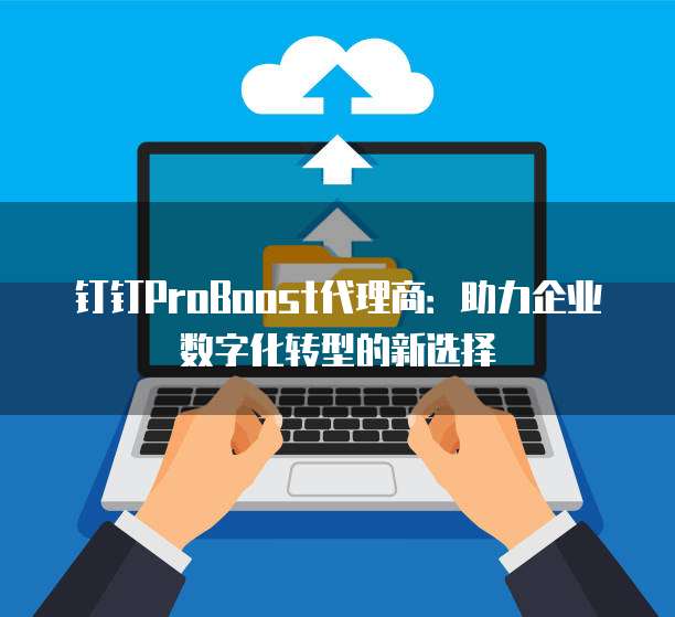 钉钉ProBoost代理商:助力企业数字化转型的新选择