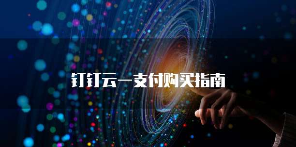 钉钉云一支付购买指南
