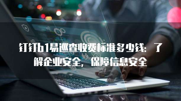 钉钉b1易巡查收费标准多少钱：了解企业安全，保障信息安全