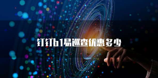 钉钉b1易巡查优惠多少