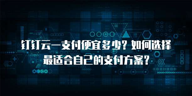 钉钉云一支付便宜多少?如何选择最适合自己的支付方案?