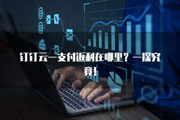 钉钉云一支付返利在哪里?一探究竟!