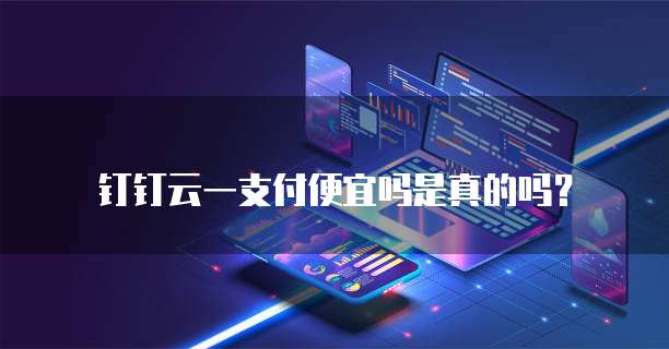 钉钉云一支付便宜吗是真的吗?