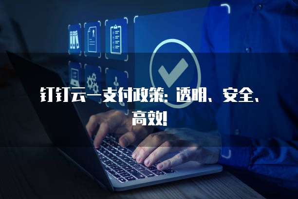 钉钉云一支付政策: 透明、安全、高效!
