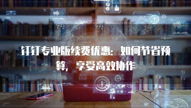 钉钉专业版续费优惠:如何节省预算,享受高效协作