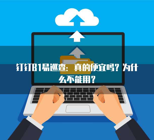 钉钉B1易巡查:真的便宜吗?为什么不能用?