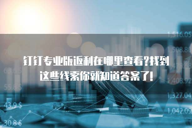 钉钉专业版返利在哪里查看?找到这些线索你就知道答案了!