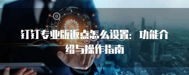 钉钉专业版返点怎么设置：功能介绍与操作指南